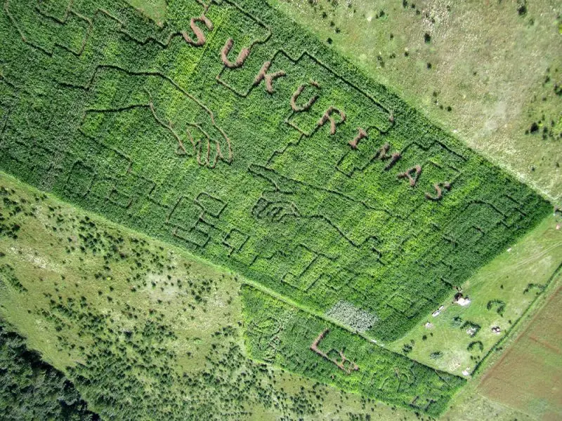 Kukurūzų labirintas 2011 - SUKŪRIMAS ir Eurobasket