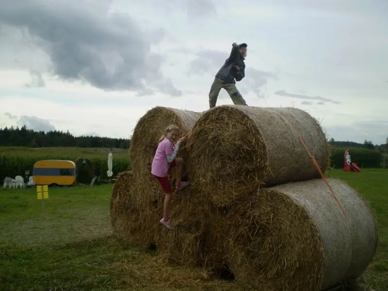 Kukurūzų labirintas 2010 - Europos žemėlapis