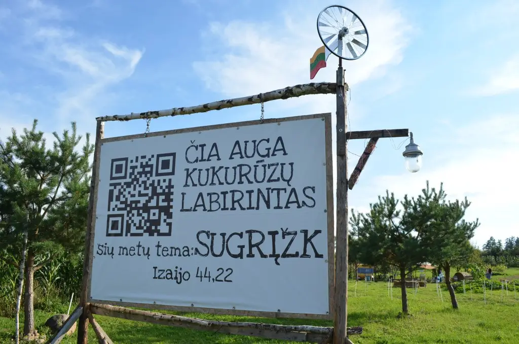 Kukurūzų labirintas 2013 - SUGRĮŽK