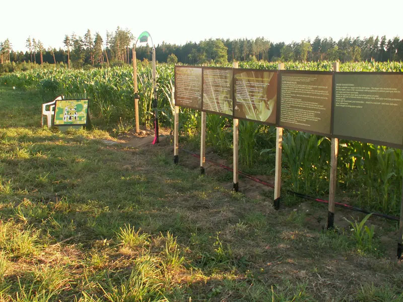 Kukurūzų labirintas 2008 - Gedimino pilis