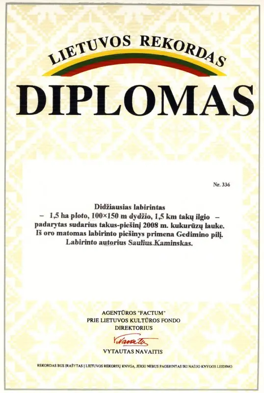 Kukurūzų labirintas 2008 - Gedimino pilis