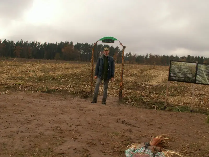 Kukurūzų labirintas 2008 - Gedimino pilis