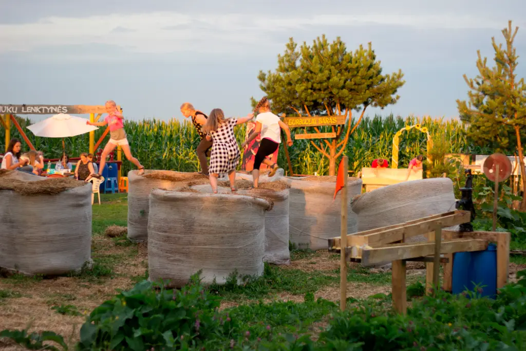 Kukurūzų labirintas 2019 - ...Ten laisvė