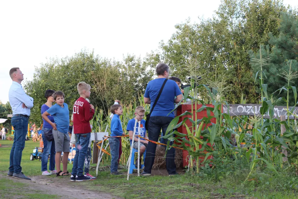 Kukurūzų labirintas 2019 - ...Ten laisvė