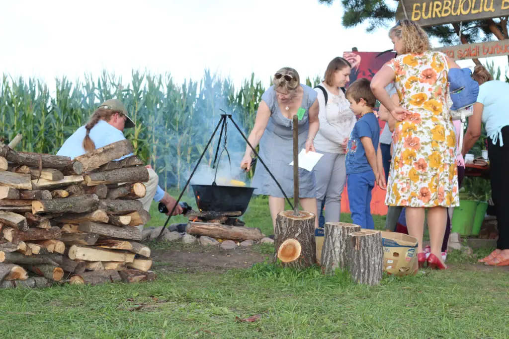 Kukurūzų labirintas 2019 - ...Ten laisvė