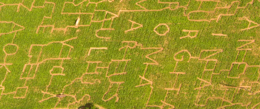 Kukurūzų labirintas 2018 - Ei, koks Tavo vardas?