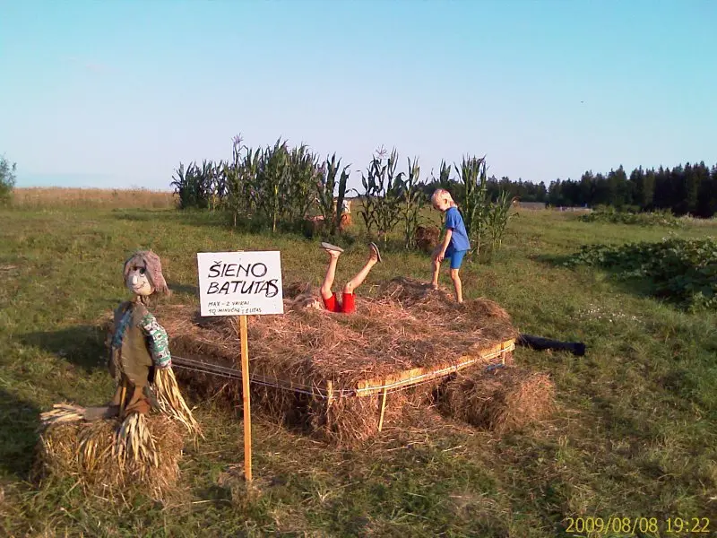 Kukurūzų labirintas 2009 - Tūkstantmečio ženklas
