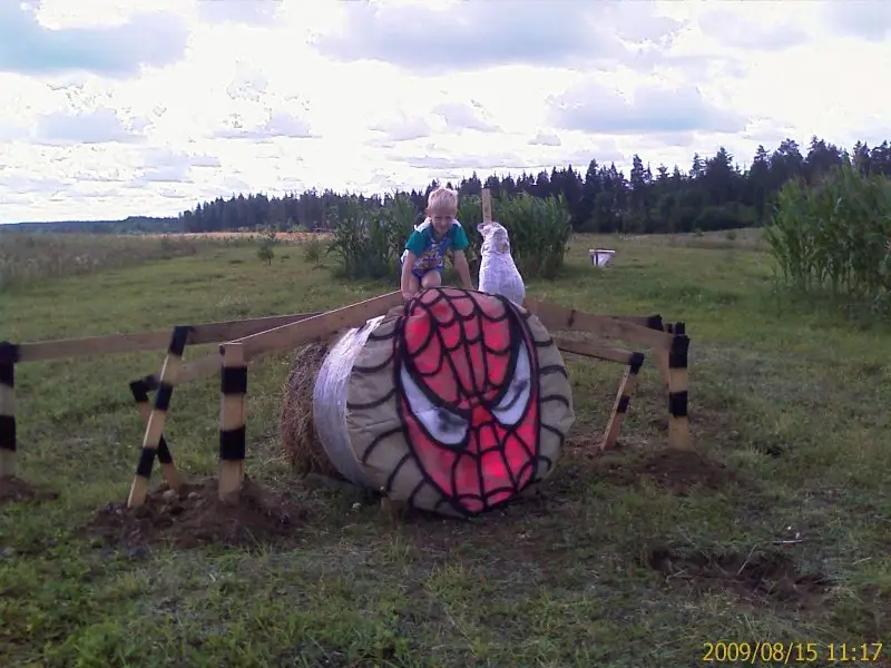 Kukurūzų labirintas 2009 - Tūkstantmečio ženklas