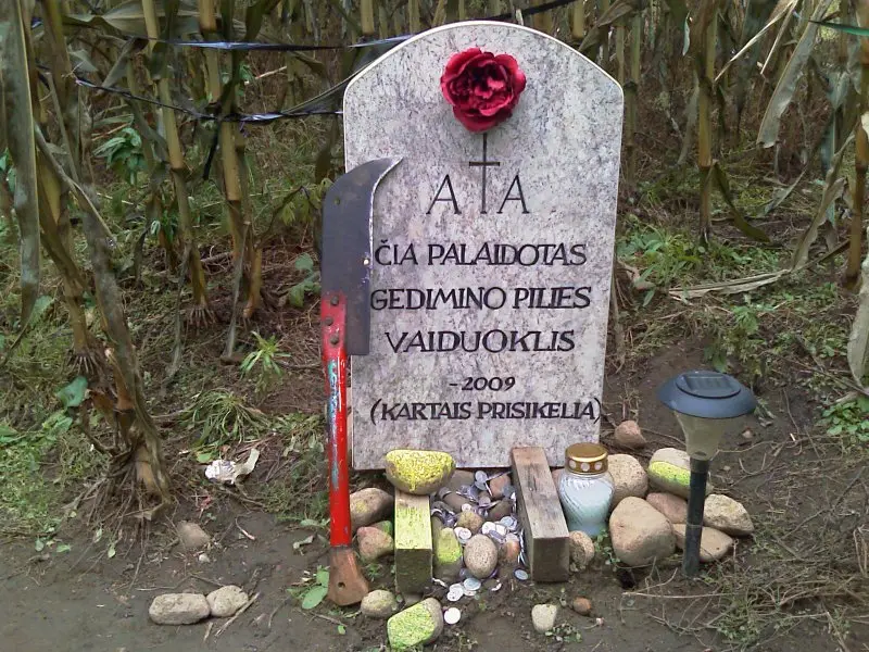 Kukurūzų labirintas 2009 - Tūkstantmečio ženklas