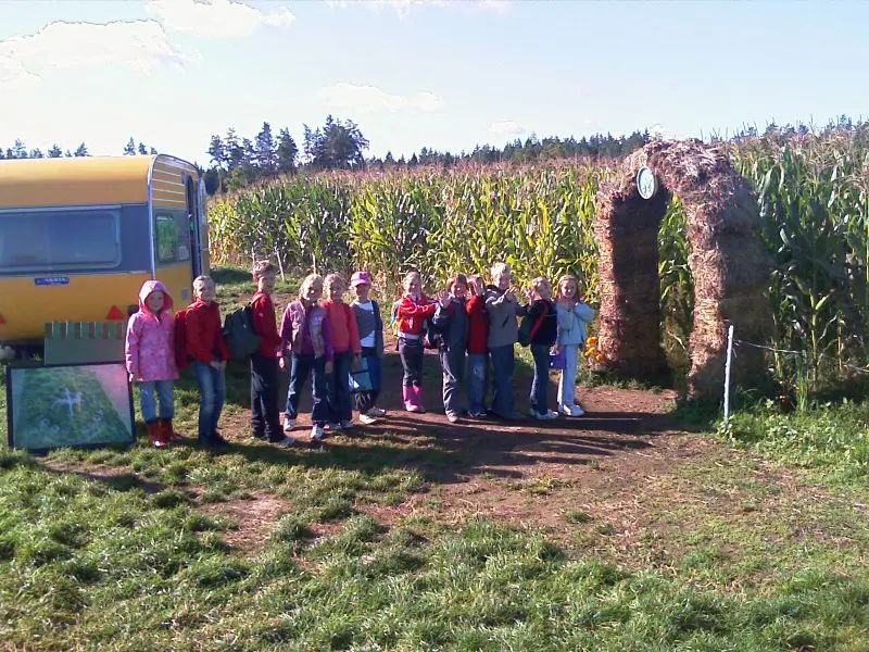 Kukurūzų labirintas 2009 - Tūkstantmečio ženklas