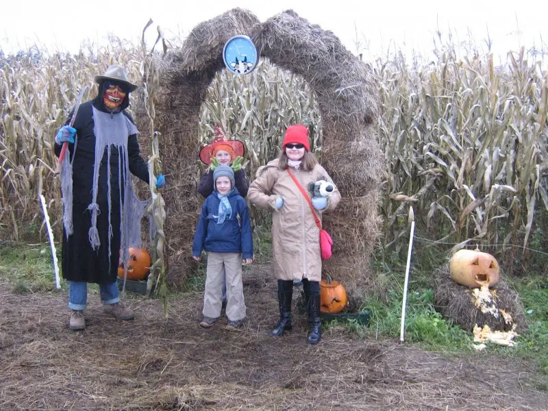 Kukurūzų labirintas 2009 - Tūkstantmečio ženklas