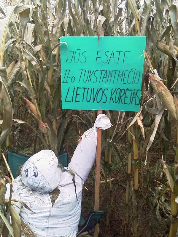 Kukurūzų labirintas 2009 - Tūkstantmečio ženklas