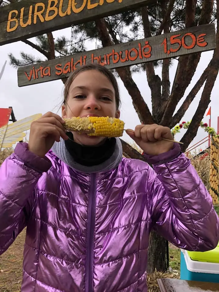 Kukurūzų labirintas 2019 - ...Ten laisvė