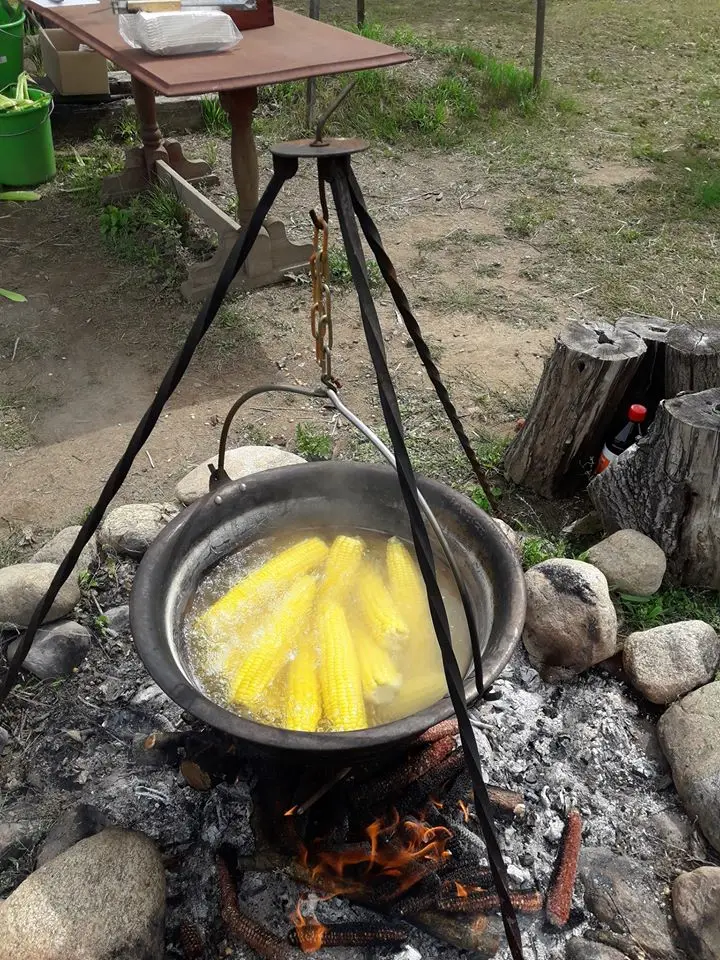 Kukurūzų labirintas 2019 - ...Ten laisvė